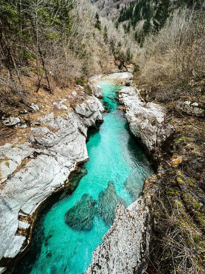 Apartments Mala Korita Soce Soča Exterior foto