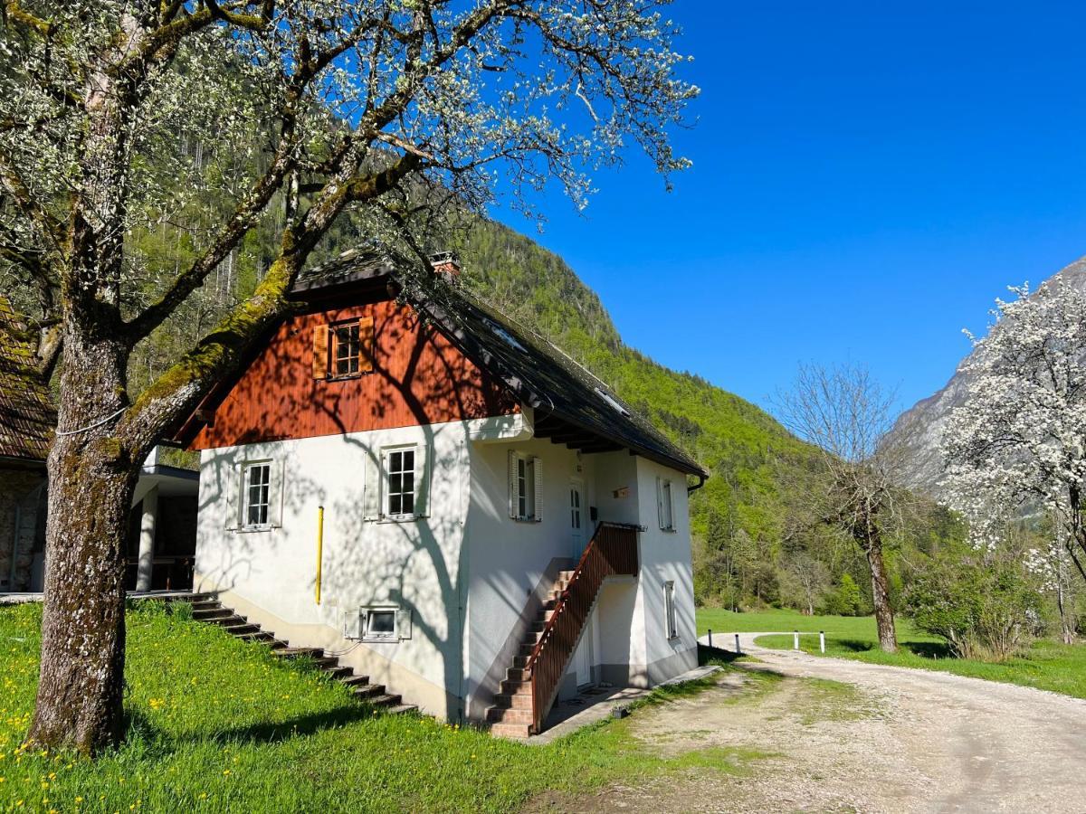 Apartments Mala Korita Soce Soča Exterior foto